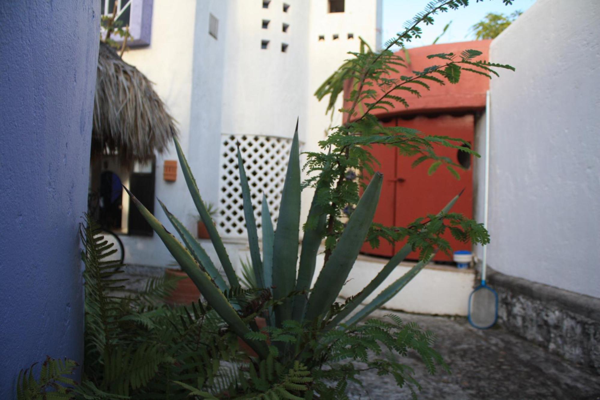 Amaranto Bed And Breakfast Cozumel Exterior foto