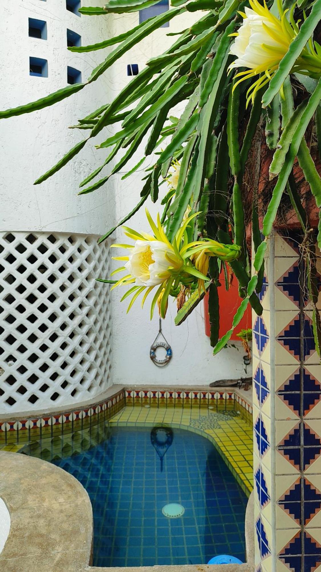 Amaranto Bed And Breakfast Cozumel Exterior foto