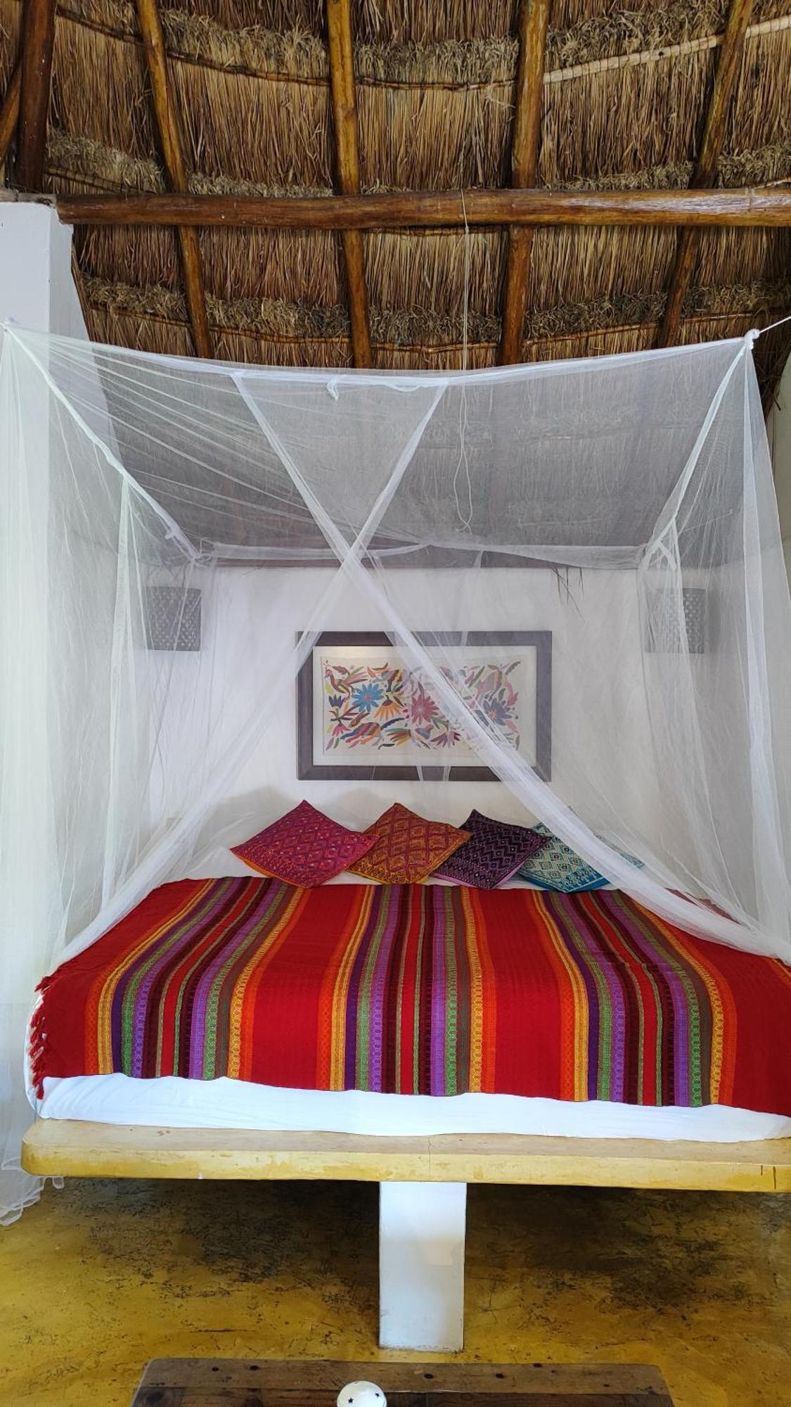 Amaranto Bed And Breakfast Cozumel Exterior foto